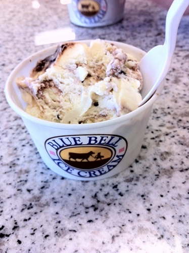 bluebell2