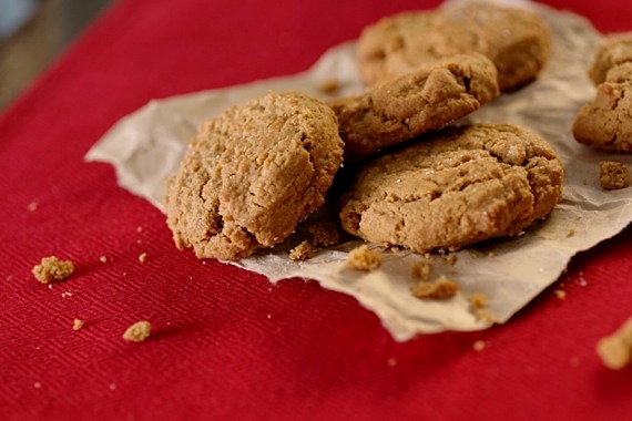 gingercookies2