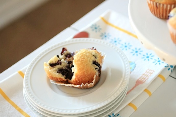 Classic Blueberry Muffins 3