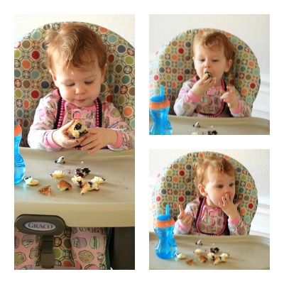 PicMonkey Collage2