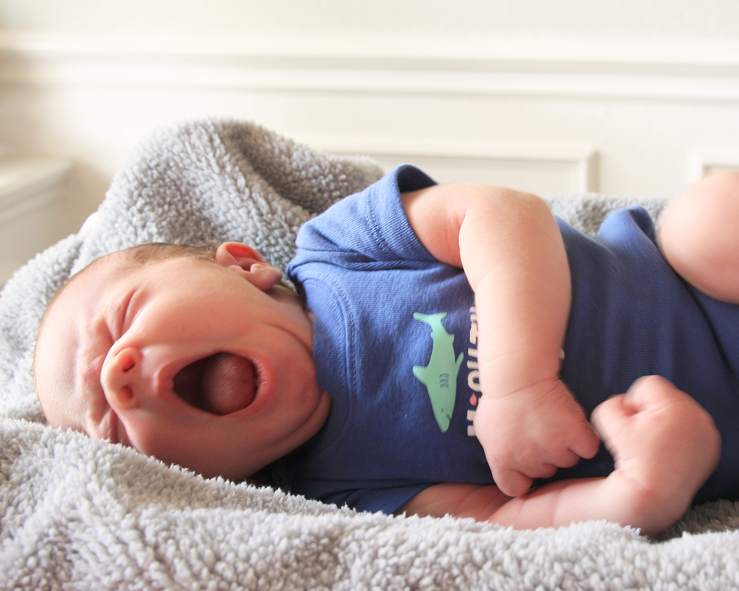 Elliott newborn